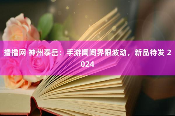 撸撸网 神州泰岳:手游阛阓界限波动,新品待发 2024