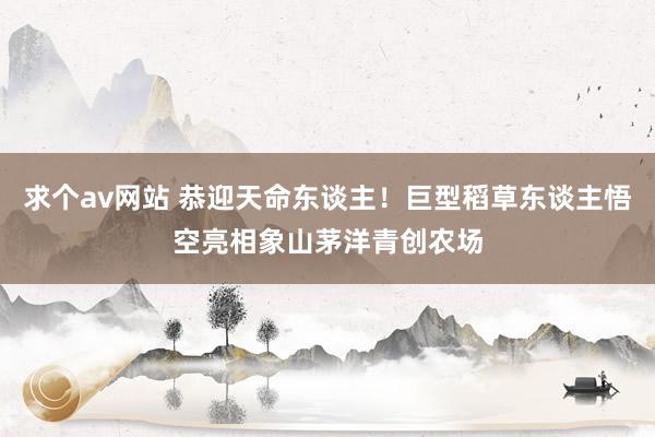 求个av网站 恭迎天命东谈主!巨型稻草东谈主悟空亮相象山茅洋青创农场