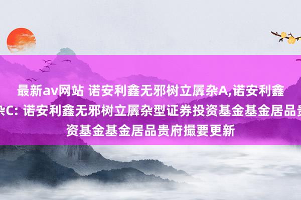最新av网站 诺安利鑫无邪树立羼杂A,诺安利鑫无邪树立羼杂C: 诺安利鑫无邪树立羼杂型证券投资基金基金居品贵府撮要更新