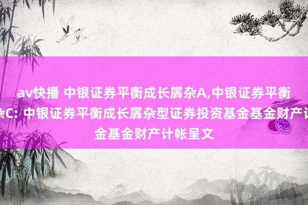 av快播 中银证券平衡成长羼杂A,中银证券平衡成长羼杂C: 中银证券平衡成长羼杂型证券投资基金基金财产计帐呈文