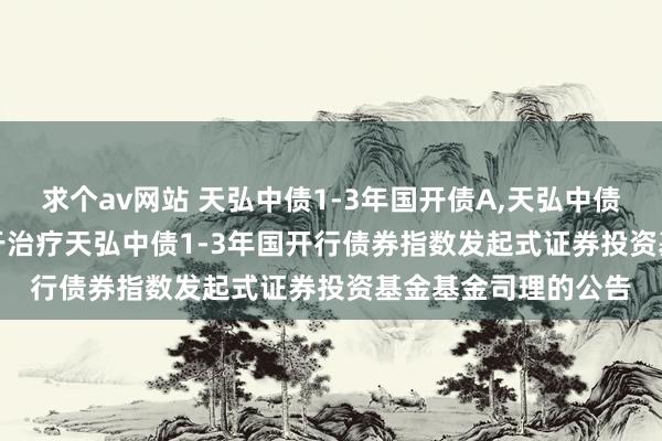 求个av网站 天弘中债1-3年国开债A,天弘中债1-3年国开债C: 对于治疗天弘中债1-3年国开行债券指数发起式证券投资基金基金司理的公告