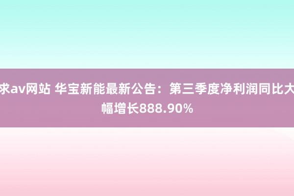 求av网站 华宝新能最新公告:第三季度净利润同比大幅增长888.90%
