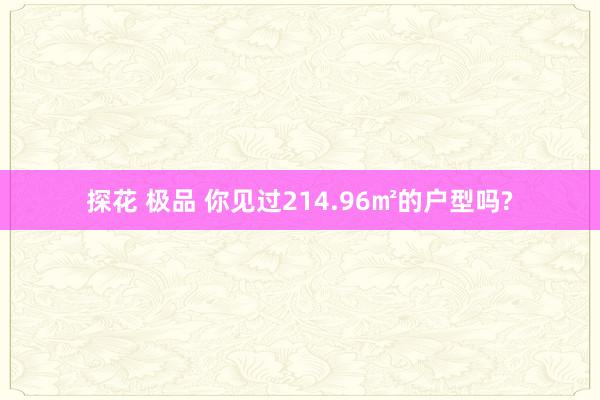 探花 极品 你见过214.96㎡的户型吗?