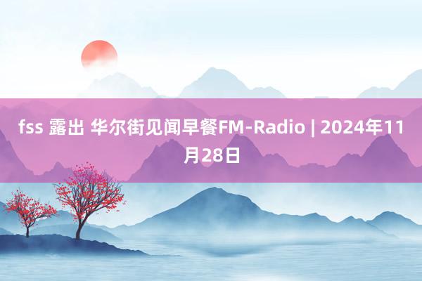 fss 露出 华尔街见闻早餐FM-Radio | 2024年11月28日