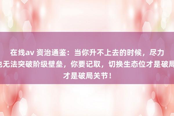 在线av 资治通鉴:当你升不上去的时候,尽力再多也无法突破阶级壁垒,你要记取,切换生态位才是破局关节!