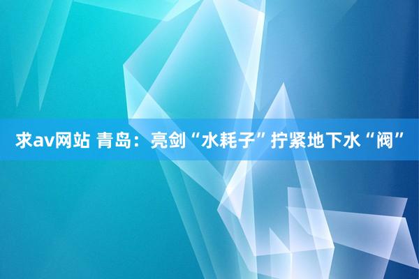 求av网站 青岛：亮剑“水耗子”拧紧地下水“阀”
