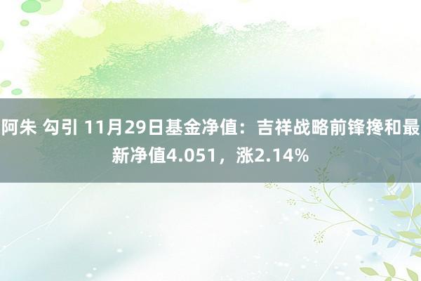 阿朱 勾引 11月29日基金净值：吉祥战略前锋搀和最新净值4.051，涨2.14%