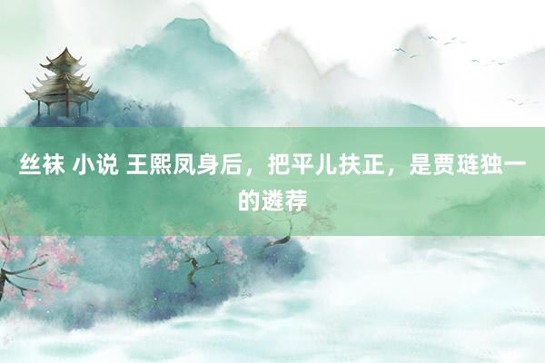 丝袜 小说 王熙凤身后，把平儿扶正，是贾琏独一的遴荐