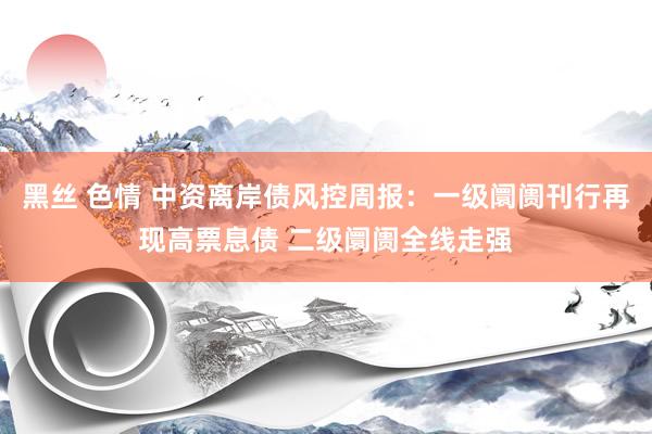 黑丝 色情 中资离岸债风控周报：一级阛阓刊行再现高票息债 二级阛阓全线走强