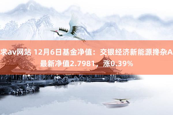 求av网站 12月6日基金净值：交银经济新能源搀杂A最新净值2.7981，涨0.39%