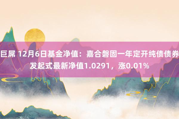 巨屌 12月6日基金净值：嘉合磐固一年定开纯债债券发起式最新净值1.0291，涨0.01%