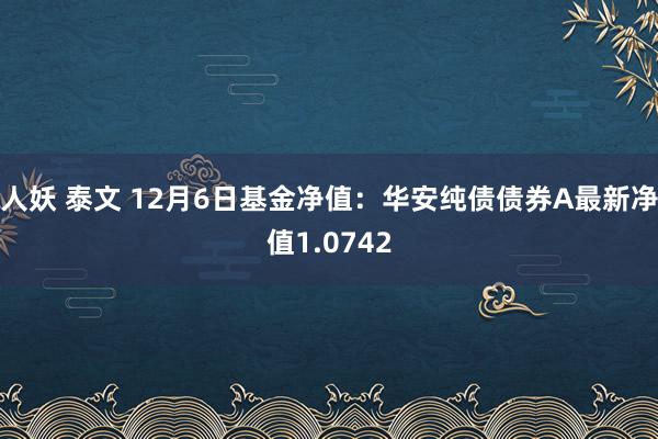 人妖 泰文 12月6日基金净值：华安纯债债券A最新净值1.0742