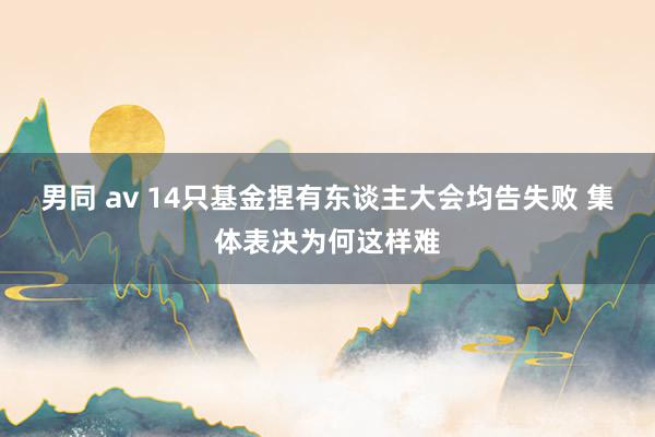 男同 av 14只基金捏有东谈主大会均告失败 集体表决为何这样难