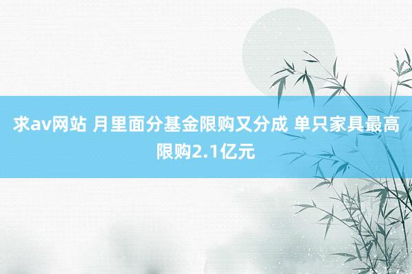 求av网站 月里面分基金限购又分成 单只家具最高限购2.1亿元