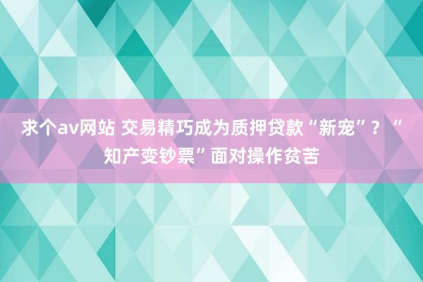 求个av网站 交易精巧成为质押贷款“新宠”？“知产变钞票”面对操作贫苦