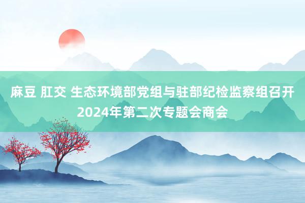 麻豆 肛交 生态环境部党组与驻部纪检监察组召开2024年第二次专题会商会