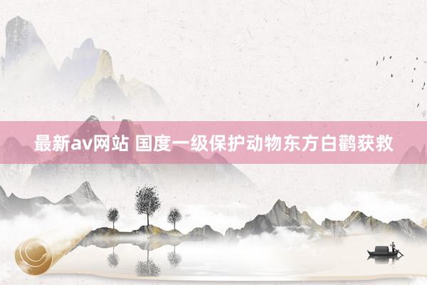 最新av网站 国度一级保护动物东方白鹳获救