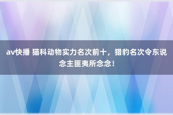 av快播 猫科动物实力名次前十，猎豹名次令东说念主匪夷所念念！
