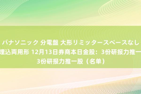パナソニック 分電盤 大形リミッタースペースなし 露出・半埋込両用形 12月13日券商本日金股：3份研报力推一股（名单）