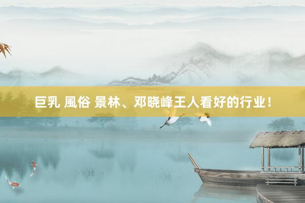巨乳 風俗 景林、邓晓峰王人看好的行业！