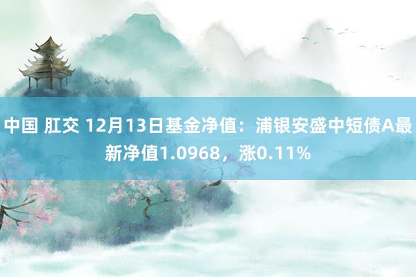 中国 肛交 12月13日基金净值：浦银安盛中短债A最新净值1.0968，涨0.11%