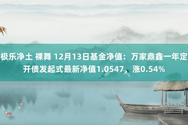 极乐净土 裸舞 12月13日基金净值：万家鼎鑫一年定开债发起式最新净值1.0547，涨0.54%