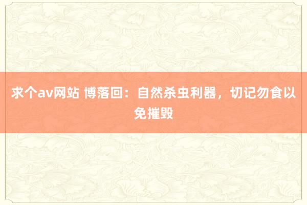 求个av网站 博落回：自然杀虫利器，切记勿食以免摧毁