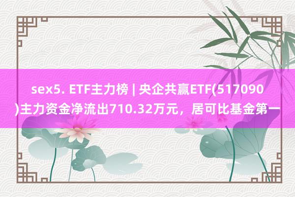 sex5. ETF主力榜 | 央企共赢ETF(517090)主力资金净流出710.32万元，居可比基金第一