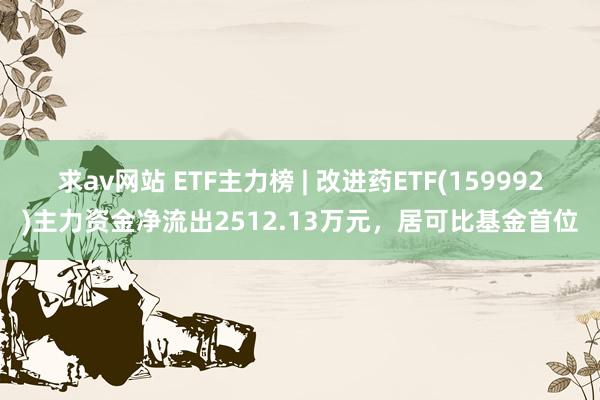 求av网站 ETF主力榜 | 改进药ETF(159992)主力资金净流出2512.13万元，居可比基金首位