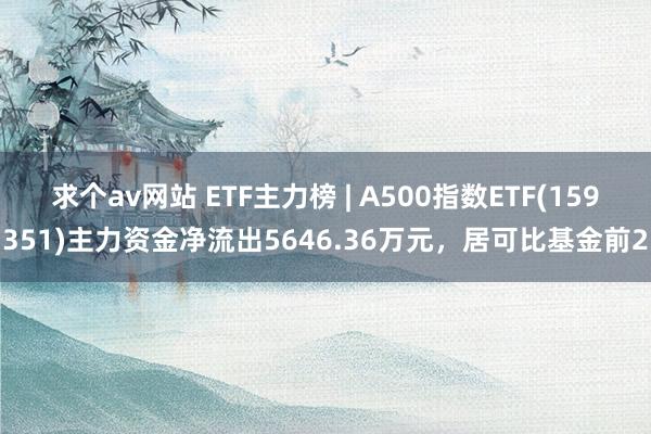 求个av网站 ETF主力榜 | A500指数ETF(159351)主力资金净流出5646.36万元，居可比基金前2