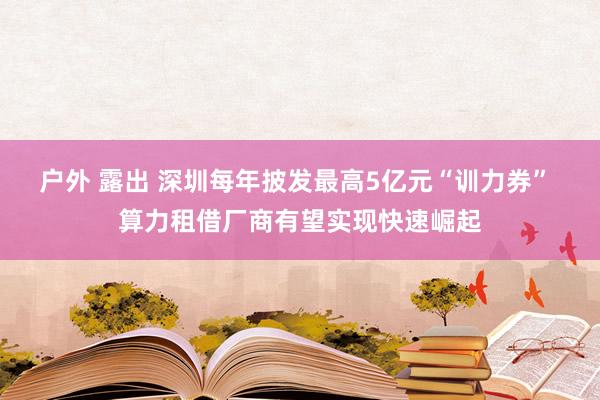 户外 露出 深圳每年披发最高5亿元“训力券” 算力租借厂商有望实现快速崛起