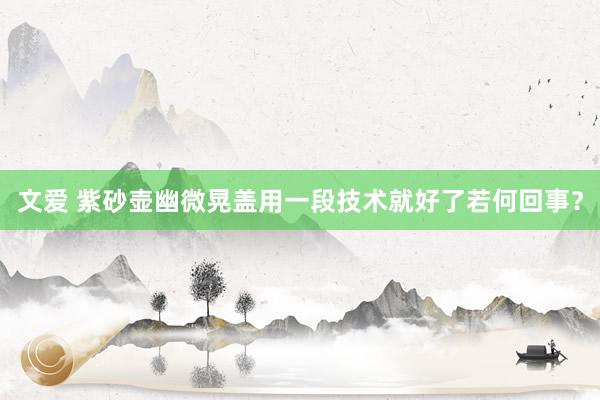 文爱 紫砂壶幽微晃盖用一段技术就好了若何回事？