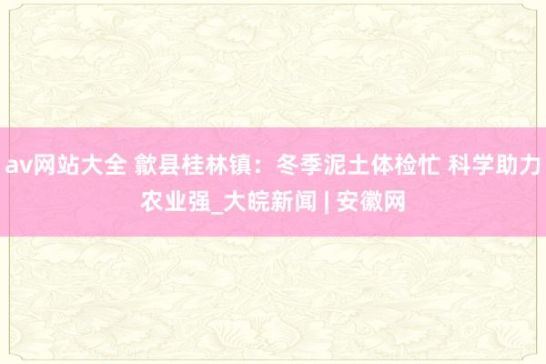 av网站大全 歙县桂林镇：冬季泥土体检忙 科学助力农业强_大皖新闻 | 安徽网