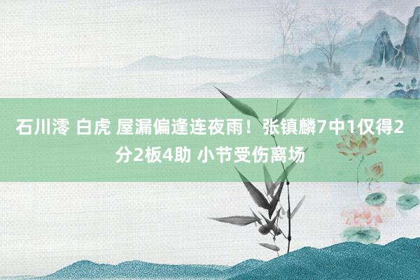 石川澪 白虎 屋漏偏逢连夜雨！张镇麟7中1仅得2分2板4助 小节受伤离场