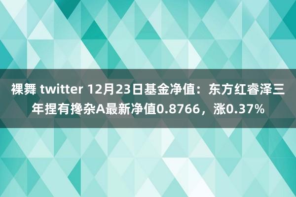 裸舞 twitter 12月23日基金净值：东方红睿泽三年捏有搀杂A最新净值0.8766，涨0.37%