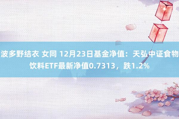波多野结衣 女同 12月23日基金净值：天弘中证食物饮料ETF最新净值0.7313，跌1.2%