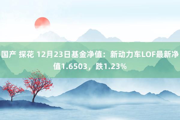 国产 探花 12月23日基金净值：新动力车LOF最新净值1.6503，跌1.23%