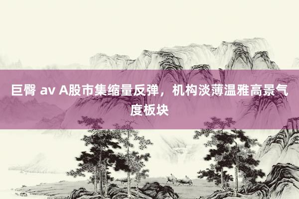 巨臀 av A股市集缩量反弹，机构淡薄温雅高景气度板块