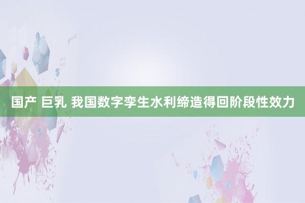 国产 巨乳 我国数字孪生水利缔造得回阶段性效力