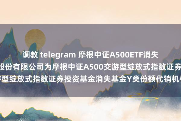 调教 telegram 摩根中证A500ETF消失Y: 对于新增中国光大银行股份有限公司为摩根中证A500交游型绽放式指数证券投资基金消失基金Y类份额代销机构的公告