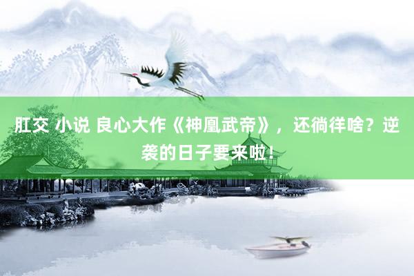 肛交 小说 良心大作《神凰武帝》，还徜徉啥？逆袭的日子要来啦！