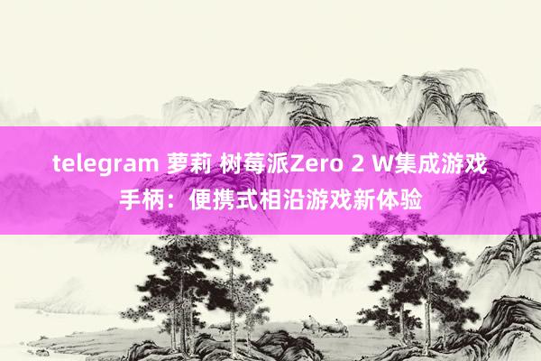telegram 萝莉 树莓派Zero 2 W集成游戏手柄：便携式相沿游戏新体验