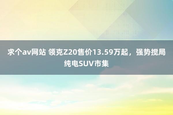 求个av网站 领克Z20售价13.59万起，强势搅局纯电SUV市集