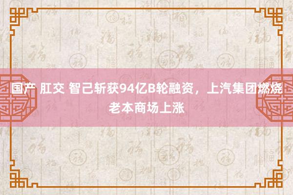 国产 肛交 智己斩获94亿B轮融资，上汽集团燃烧老本商场上涨