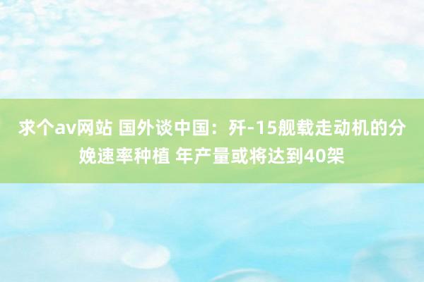 求个av网站 国外谈中国：歼-15舰载走动机的分娩速率种植 年产量或将达到40架