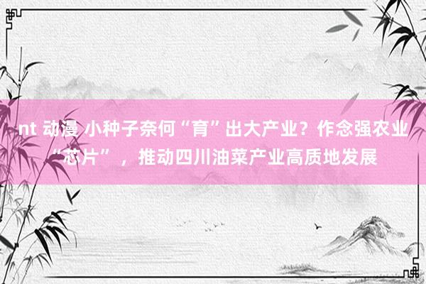 nt 动漫 小种子奈何“育”出大产业？作念强农业“芯片” ，推动四川油菜产业高质地发展