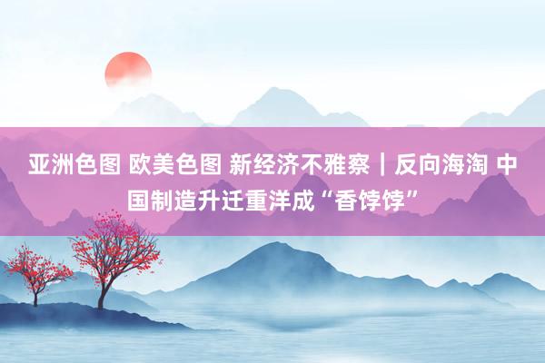 亚洲色图 欧美色图 新经济不雅察｜反向海淘 中国制造升迁重洋成“香饽饽”