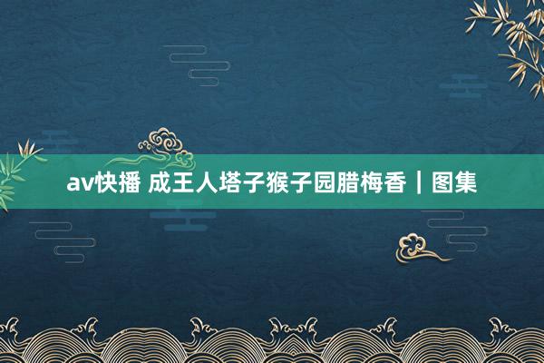 av快播 成王人塔子猴子园腊梅香｜图集