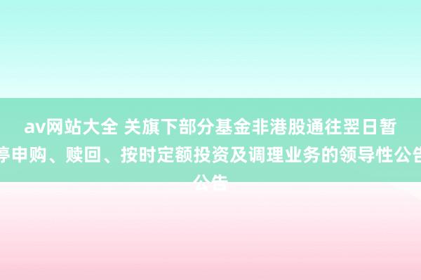 av网站大全 关旗下部分基金非港股通往翌日暂停申购、赎回、按时定额投资及调理业务的领导性公告