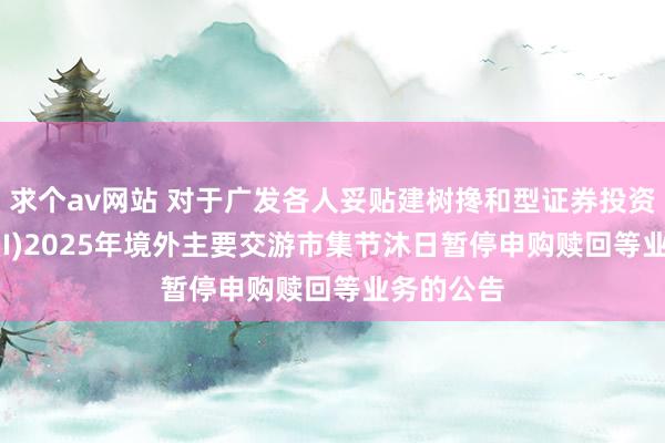 求个av网站 对于广发各人妥贴建树搀和型证券投资基金(QDII)2025年境外主要交游市集节沐日暂停申购赎回等业务的公告
